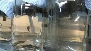 فارم خانگی پرورش زالو در آلمان | صنعت زالو ایران