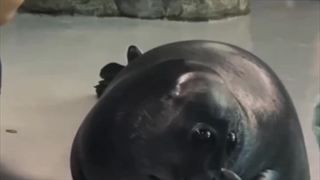 ☆فقد خجالتش☆