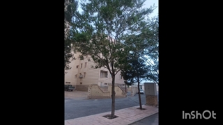 من رورا امروز {تازه بارون اومدا}