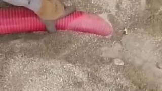 دستگاه انتقال مواد به داخل میکسر