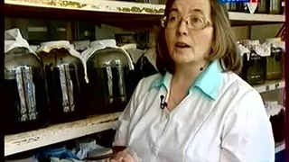 قسمتی از فارم روسیه از شبکه محلی مسکو