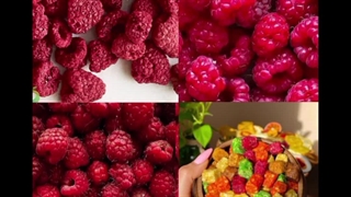 دستگاه میوه و سبزی و بستنی خشک کن خانگی و صنعتی 09930275630-09198190989