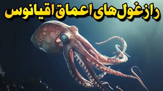 چرا موجودات اعماق اقیانوس غول‌پیکر میشوند؟