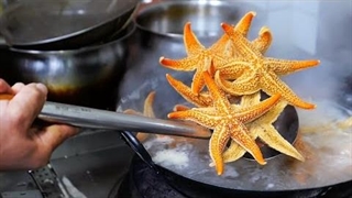 ستاره دریایی پلوی چینی ! - موج کره ای