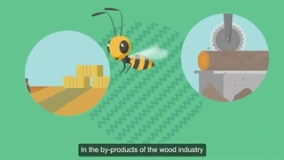 الیاف سلولزی چیست