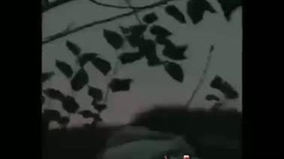 تو دنیای خودم گم و گورمو پرت♡