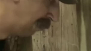 درخت رو از جا کند 