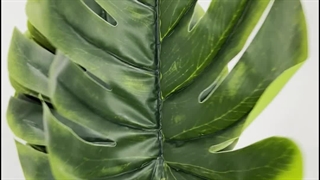 خرید برگ مصنوعی انجیری مانسترا ۱ متری | خرید آنلاین با ارسال سریع و شستشو راحت 