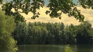 حس و حالی که صبح امروز داره :)))))