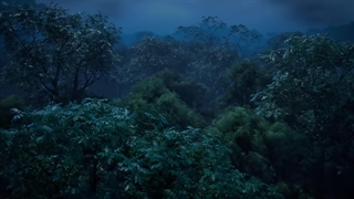 انیمه همه چیز با امپراطور خوبه ( Everything Is Fine With The Emperor ( Junzi Wu Ji فصل 1 قسمت 9