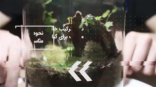 تراریوم برای همه: راهنمای عملی ساخت باغ‌های کوچک