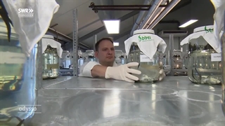 نگاهی دقیق به یک فارم حرفه ای در اروپا