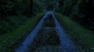 دلم قدم زدن تویه همچین مسیری می خواد:)