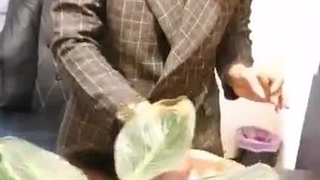 مزایا و معایب استفاده از حشره‌کش‌های فراصوت در خانه