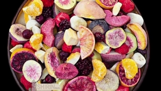 دستگاه میوه و بستنی خشک کن فریز درایر از ظرفیت خانگی تا صنعتی 09930275630-09198190989