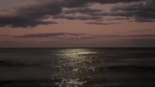 پارت بیستم و سوم رمان THE EDICTION (اعتیاد)