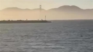 دکتر محمد باجلاوند دکتر بیژن الماسیان پل گلدن گیت سانفرانسیسکو، مینای دل بیاد بانو هایده فقید