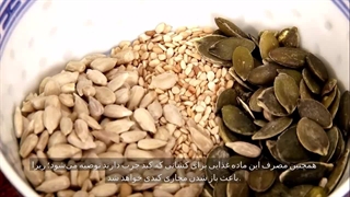 درباره خواص فندق چه میدانید؟!