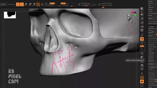 جمجمه با zbrush