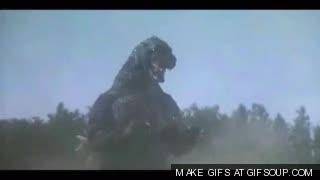 Godzilla vs. Gamera