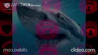 Bonus Buttons Spiffy EXE Halloween Soul 10