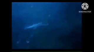 Real mermaids Atlantis Human faced fish mermaid PT3 Monster Voice
