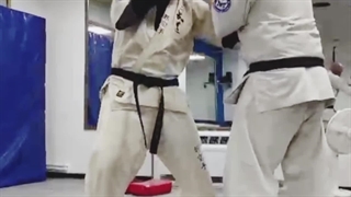 Shihan Saeed Mohammadi