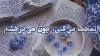 من یه پسر خوشگلم!
