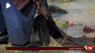 سریال نون خ 2 قسمت 6