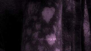 <^_^>وایب لیلی من<^_^>(hello.lily)