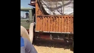 ۵ نکته مکنده پشت خاور و ایسوزو و شرایط خرید آن