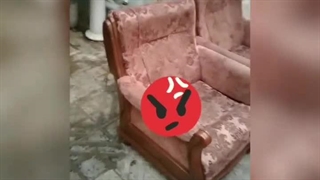 تعمیرات مبل صانعی پور تهران