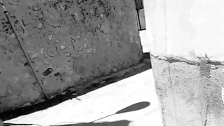 آهنگ و دکلمه غمگین