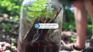 "آموزش ساخت تراریوم برای خانه‌های آپارتمانی: ایده‌های خلاقانه و ساده"