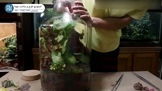 "آموزش ساخت باغ شیشه‌ای: خلق فضای سبز زیبا در منزل"