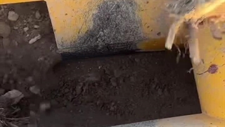 کاشت نهال به صورت پیشرفته