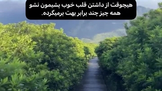 همه چیز چند برابر بهت بر میگرده...!