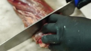 کافه رستوران میم رشت