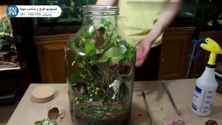 "آموزش ساخت تراریوم: لایه‌های خاک تراریوم برای یک باغ شگفت‌انگیز"