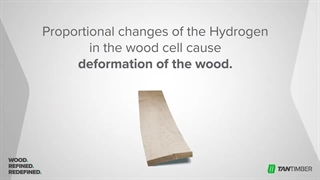 ترموود چیست؟ ویدئو نحوه ساخت