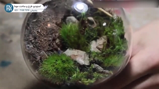 "آموزش ساخت تراریوم بنفشه آفریقایی: گام به گام با نکات حرفه‌ای"