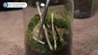 "آموزش ساخت تراریوم کوچک بومی: خلق دنیای سبز در خانه"