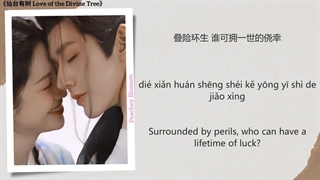 آهنگ و موسیقی سریال چینی عشق درخت الهی (Love Of The Divine Tree OST)