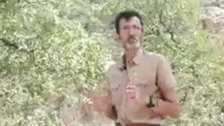 تیزر سفرنامه لرستان