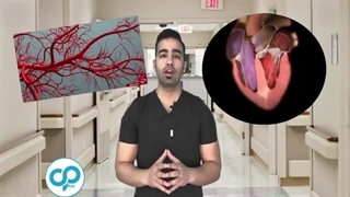 چطور نبض خود را بگیریم؟ 