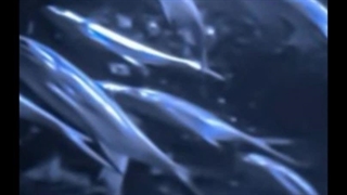 ✨ ⊹  blue  ⊹ ✨