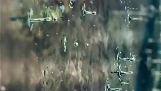 آرامش از جنس انیمه