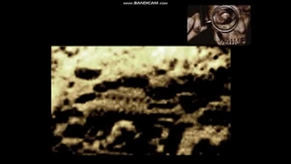 The ruined city on Mars Hale crater investigation