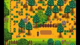 Stardew Valley