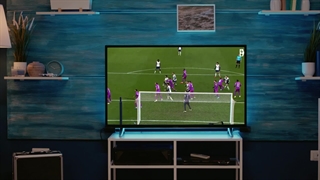 رونمایی مدرس شیخ و معرفی پکیج وردپرس پلاس از شرکت باجه